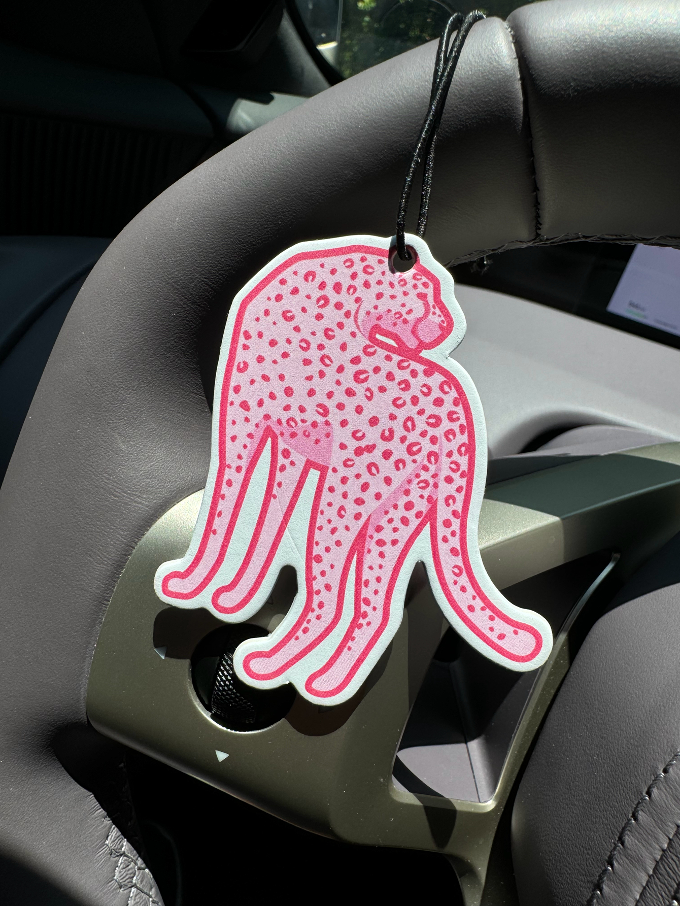 Bohemian Style 2000S roze luip - Car Accessories Juicy Couture recensie en prijs